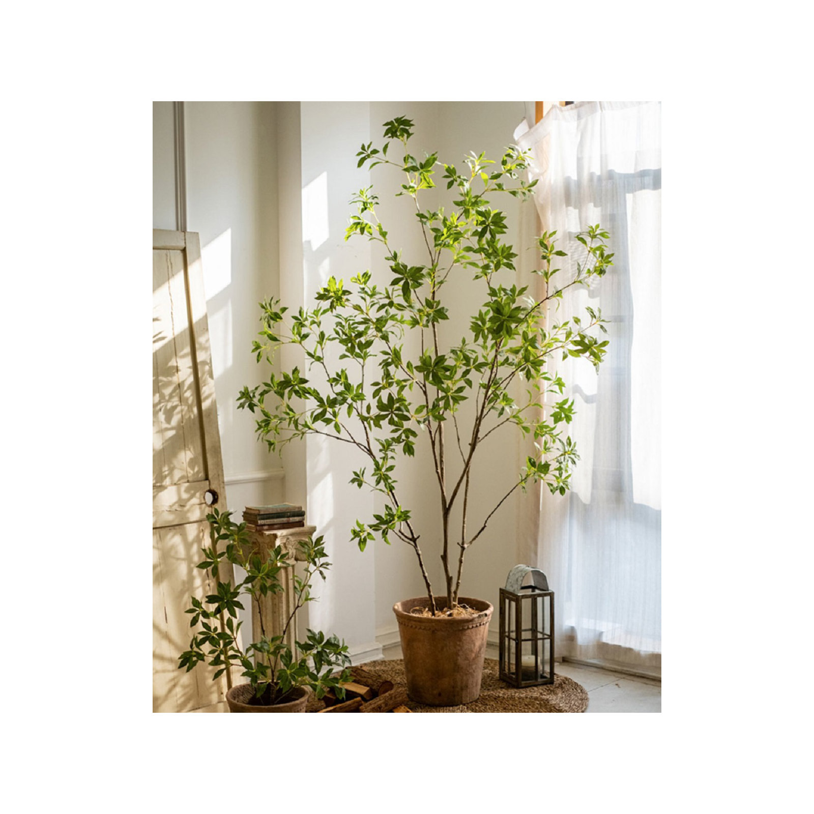 Gant Faux Tree, 68" H x 43.3" W x 8" D