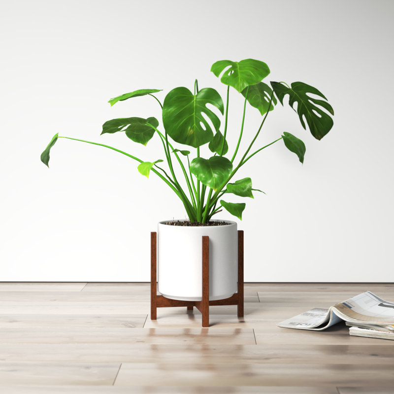 Keyes Pot Planter, White/Dark, 10.25" H x 10" W x 10"
