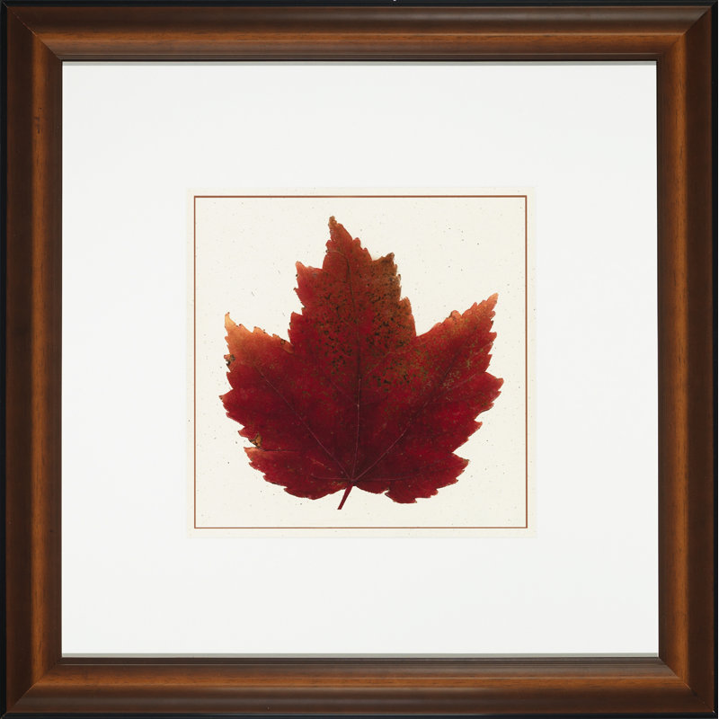 Nature Leaves I Print