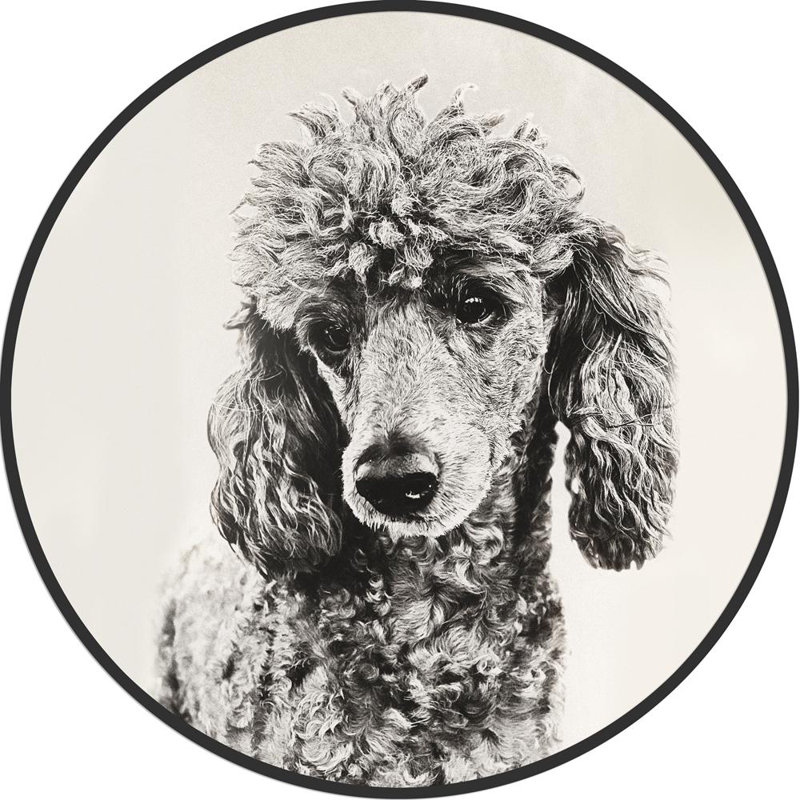 Décoration murale caniche