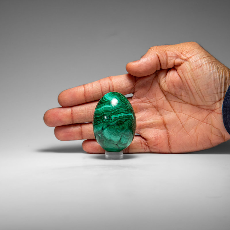 Genuine Polished Malachite Egg (167.2 Grams)