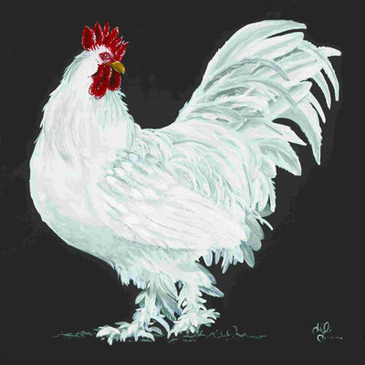 Coq 2885957