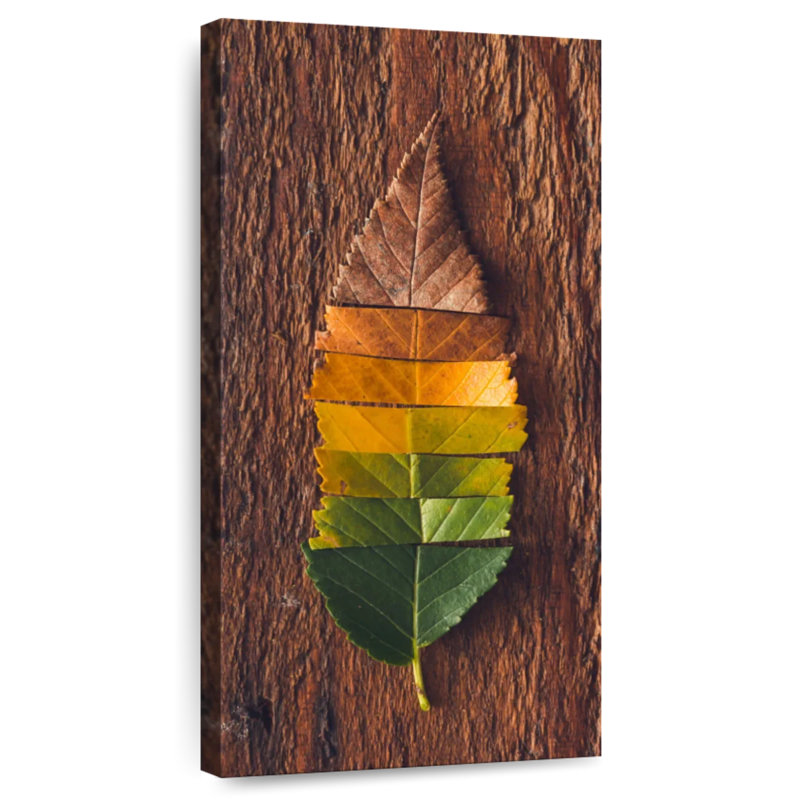 Fall Leaf Colors, 24" H x 12" W
