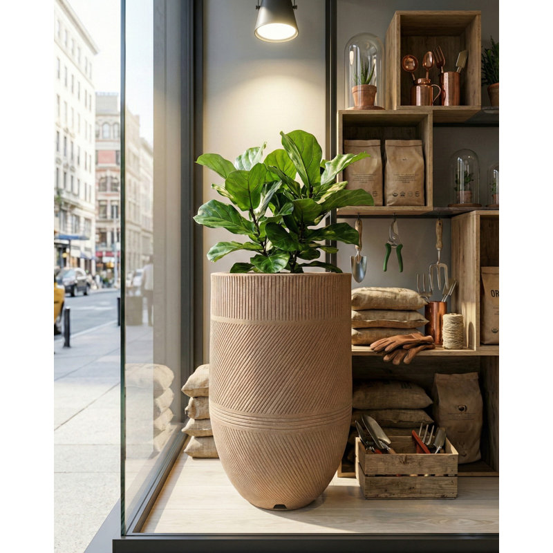 Pot à fleurs Floridis Argos Cachepot, H 22,44 po x l 13,8 po x P 13,8 po, Noir