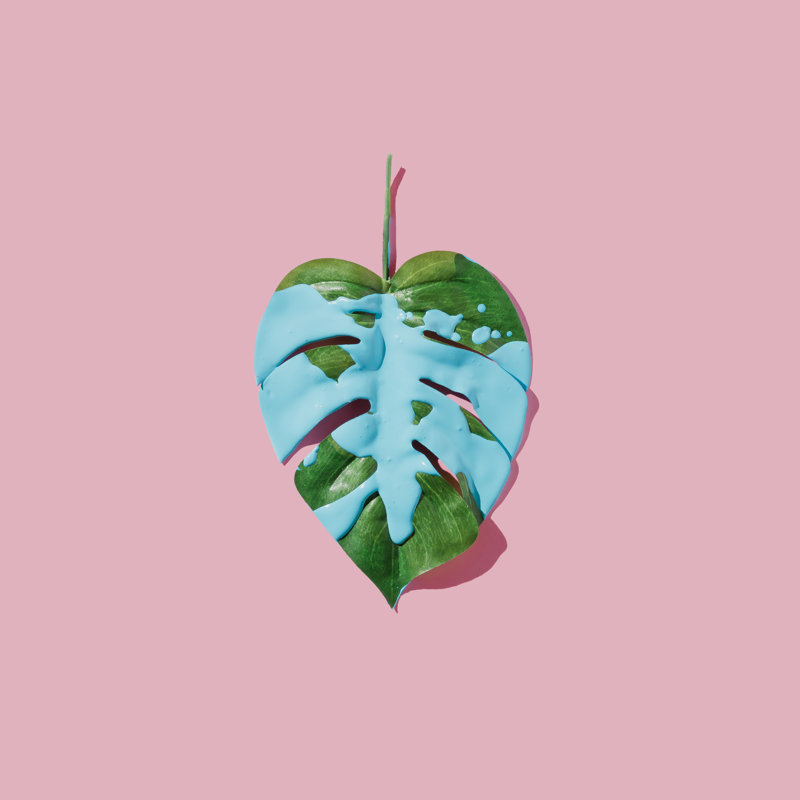 Tropical Leaf by Ivan101 - Wrapped Canvas Print, 51cm H x 51cm W