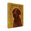 «Chocolate Labradoodle» par Kaior, impression sur toile tendue-27492687
