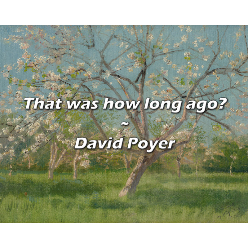 Citation artistique «Il y a combien de temps?» Toile tendue par David Poyer, H 33 po x l 48 po