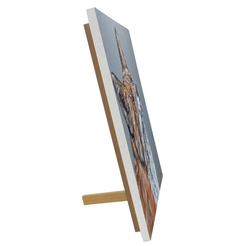 SAM FENNER Traditional Wall Decor on Ceramic