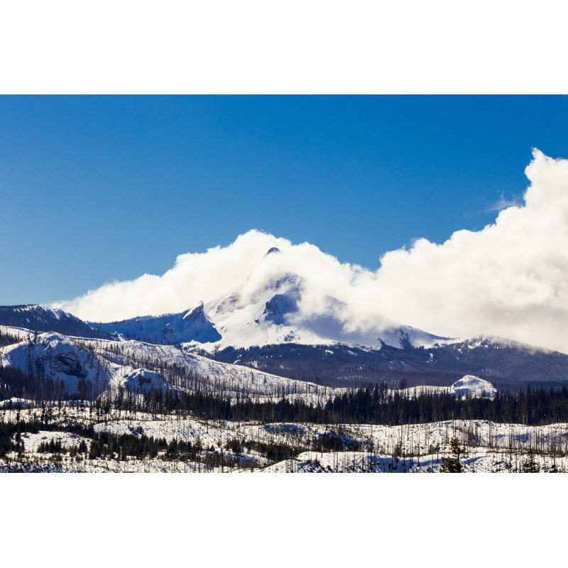 Mount Washington Wilderness - Photographie sur toile tendue, H 20 po x l 30 po