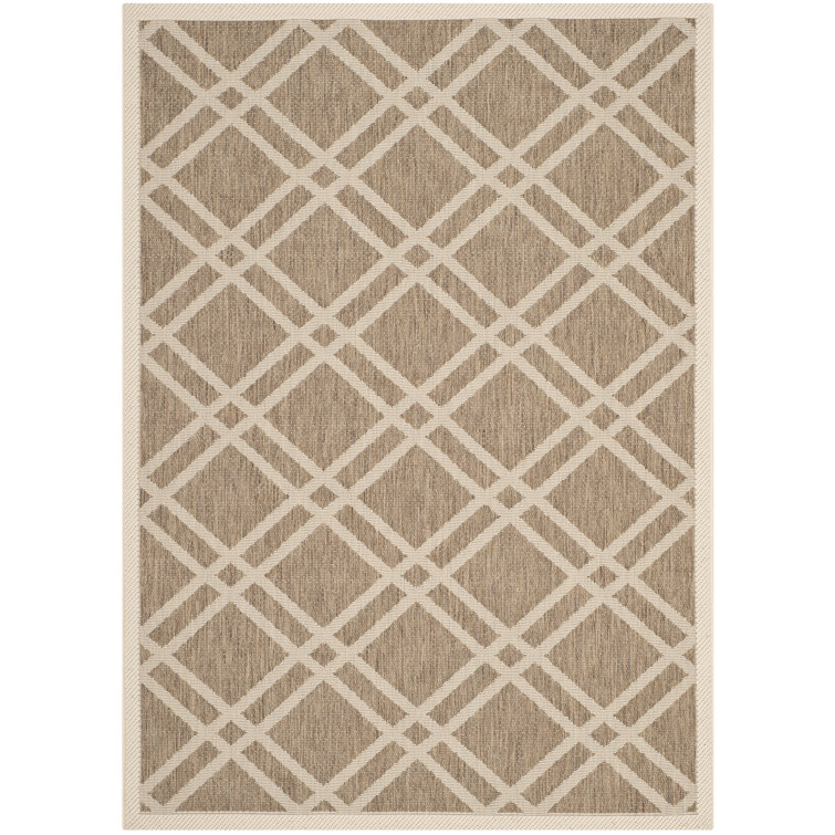 Joyner Geometric Hand Woven Indoor / Outdoor Area Rug