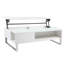Ayala Lift Top Frame Coffee Table with Storage-22062315