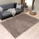 Montana Rug Abstract Design in Beige