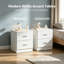 Set of 2 Modern White Bedside Tables, Engineered Wood Nightstands with 2 Storage Drawers, Accent End Table for Bedroom & Living Room