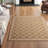 Arneshia Geometric Brown/Bone Indoor/Outdoor Area Rug-1089934342