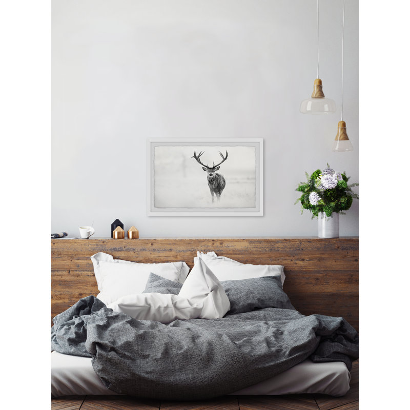 Elk Stare - Single Picture Frame Print, 20cm H x 30cm W x 3.81cm D