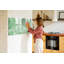 Magnetic Glass Dry Erase Board-1637475045