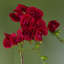 Plastic, Silk Artificial Arrangement in Pot-107235547