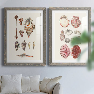 Toile encadrée Shell Collection VP Remium - prête à être accrochée