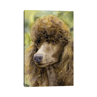 «Truffle Face - Brown Standard Poodle» par Judith Stein, reproduction d'art sur toile tendue