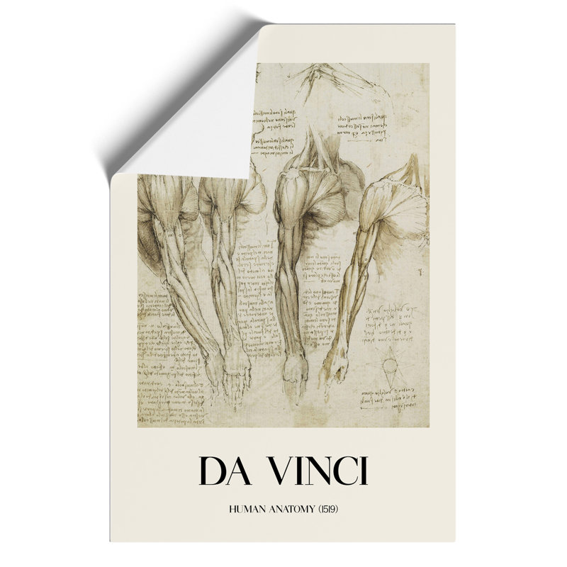 Human Anatomy Print by Leonardo da Vinci - Frameless Print, 59cm H x 42cm W x 0.1cm D