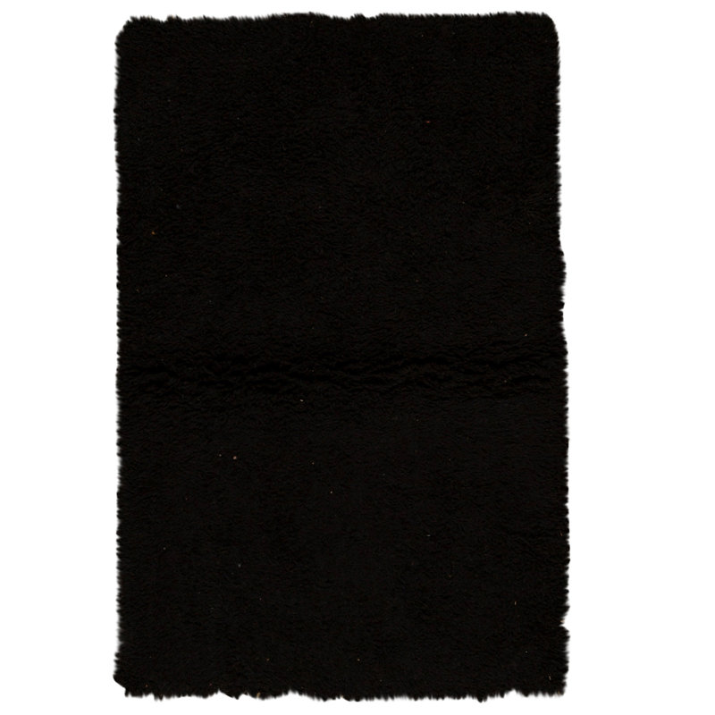 Tapis noir noué à la main de haute qualité, Rectangle 4pi x 6 pi