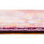 Tapis oriental rouge / jaune Glasser-1293892930