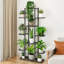 Plant Stand-845638619