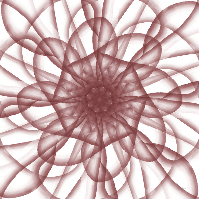 «Rose Ethereal» par Angela Bawden, H 12 po x l 12 po, Cadre noir simple, papier, Pas de tapis