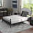 Dadenly 8'' Gel Memory Foam Mattress-581010787-555395888
