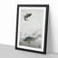 Three Carp Fish by Ohara Koson - Picture Frame Painting Print-55611318-55611316