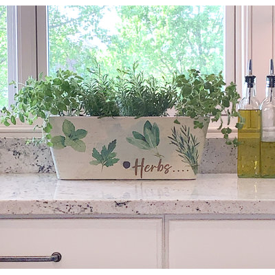 Bamboo Blooms 16" Herbs Self-Watering Indoor/Outdoor Bamboo Fibre Planter – Eco-Friendly, Plastic-Free, Biodegradable