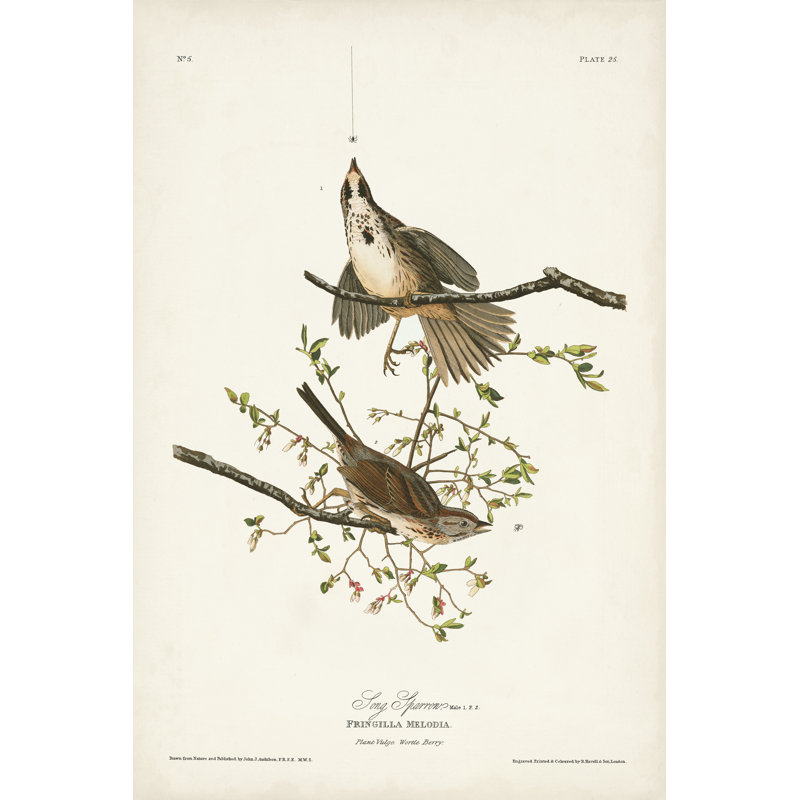 Pl. Moineau 25 morceaux, H 36 po x l 24 po
