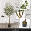 Olive artificielle avec fruit, arbre topiaire en pot avec mousse séchée CAPHAUS, 5/6 / 7 pieds-98582145