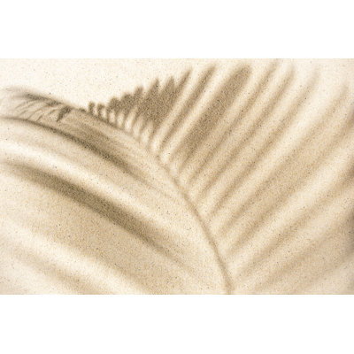 Shadow On Sand - Wrapped Canvas Print