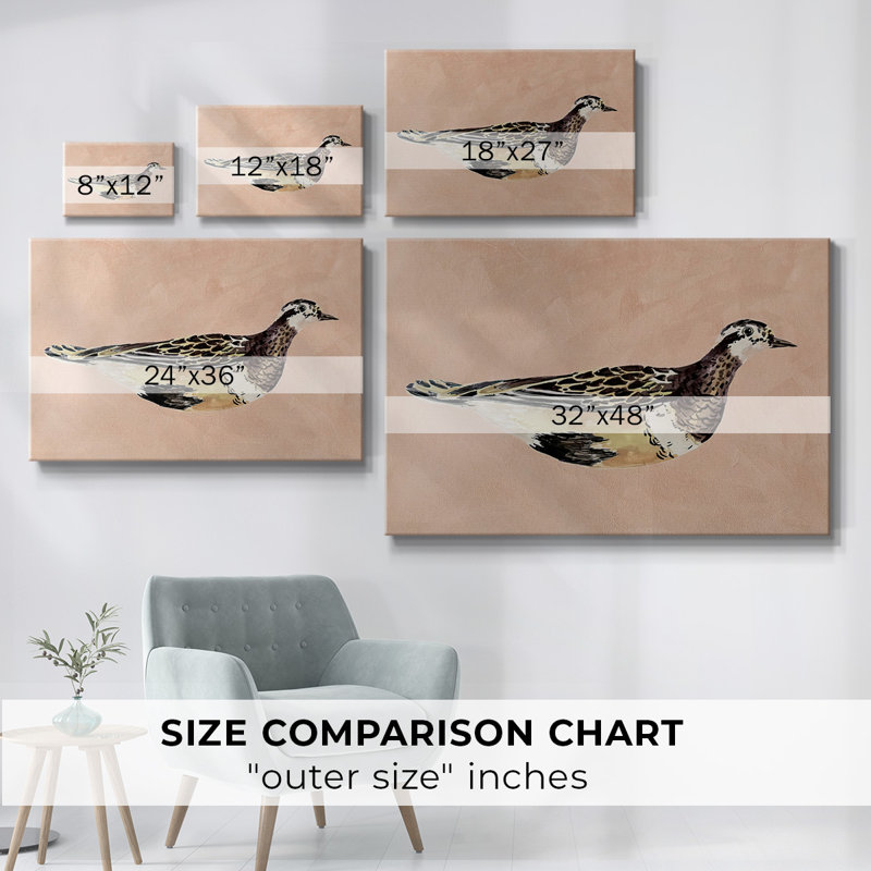 Toile tendue Feathered Friend IV-Gallery, H 12 po x l 18 po