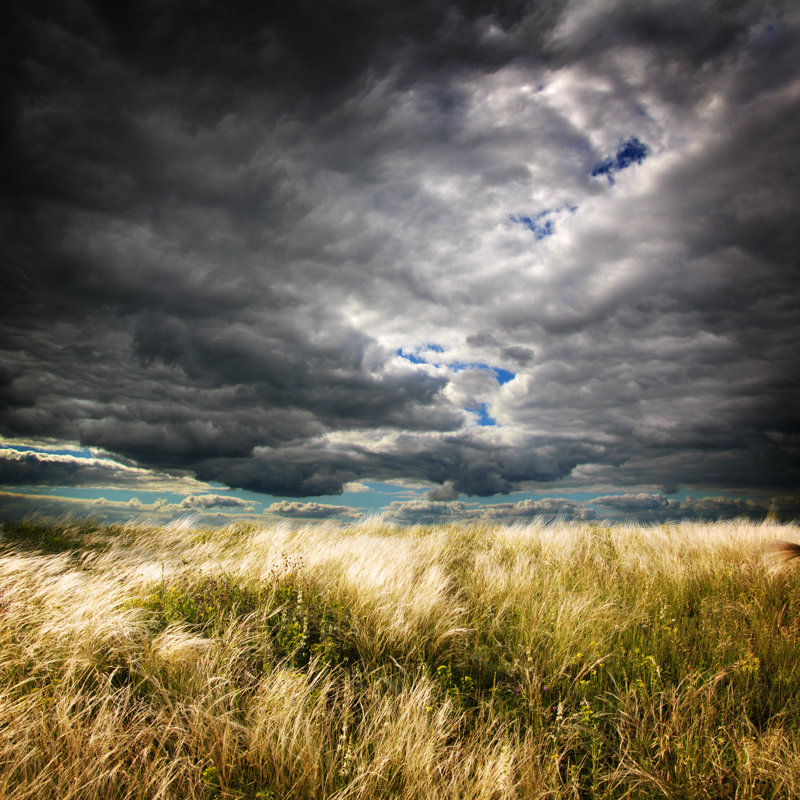 «Skies and Field» par Grafik_Art - reproduction d'art sur toile tendue, L 12 po x H 12 po