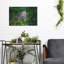 «Green Iguana» par Don Spears-217069405