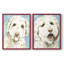 Impression encadrée Labradoodle I-Premium - prête à être accrochée - aucun clou requis - aucun clou requis-108034522-108034523