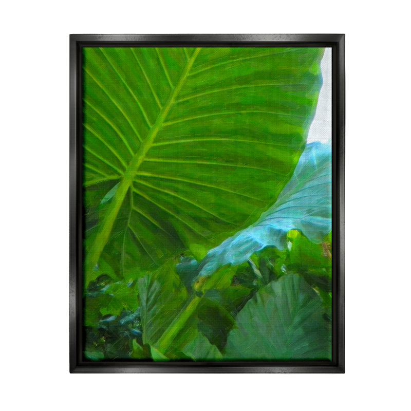 «Stupell Industries Green Palm Leaf», peinture sur toile par Graffi * Tee Studios, H 31 po x l 25 po x P 1,7 po