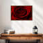 Rose rouge Saint-Valentin-1316657762-1316657767