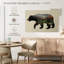 L'ours noir nord-américain-307570964-307570989
