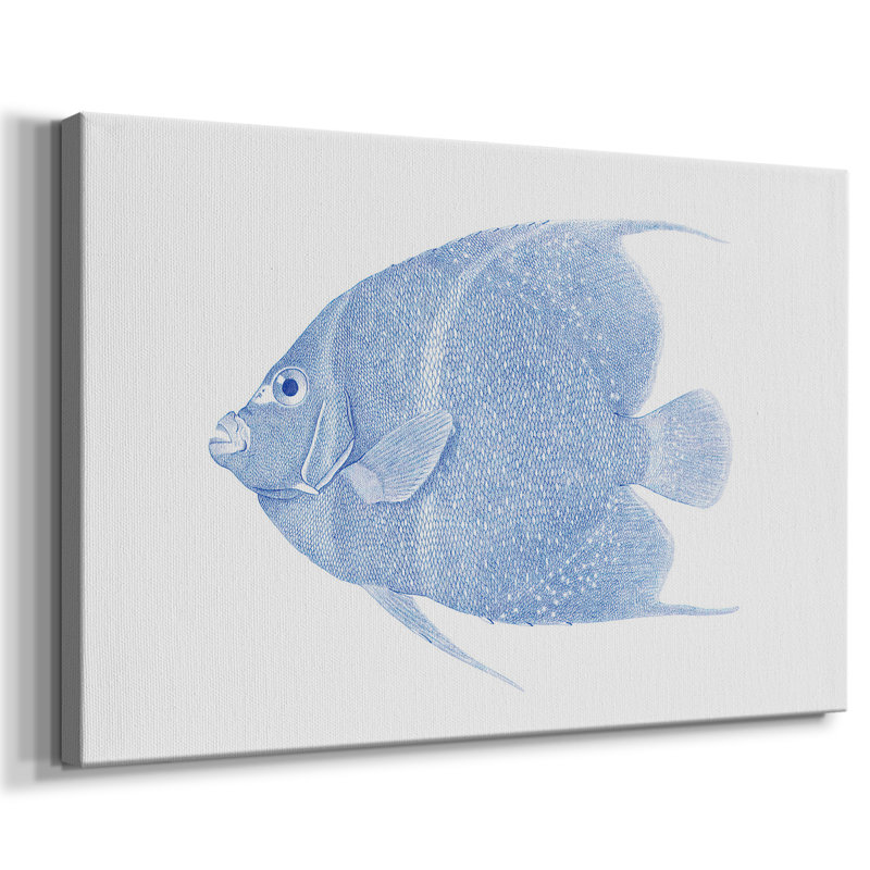 Poisson tropical bleu et blanc - galerie Cavas, 8 x 12