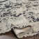 Carmiencke Abstract Indoor Rug