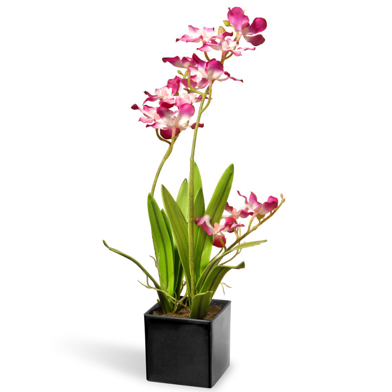Orchidée mauve 16 po