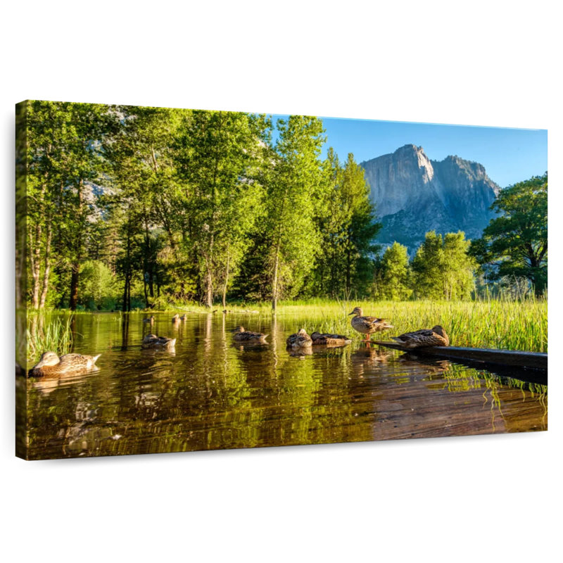 Alvord Flooded Meadow Boardwalk, 34" H x 51" W