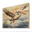 «Correen Majestic Pelican Seabird I» sur impression sur bois-164742431