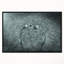 «Fungus on Leather Surface», reproduction d'impression sur toile-26694664