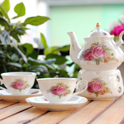 Lark Manor Blomquist 500ml Teapot Set