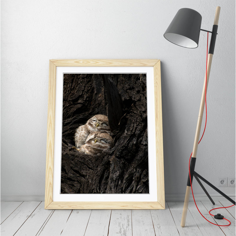 Single Picture Frame Print, Cream, 89 cm H x 64 cm W