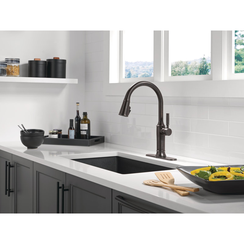 Renaldi Pull Down ProClean Sprayer Kitchen Sink Faucet, Single Handle Kitchen Faucet, Venetian Bronze